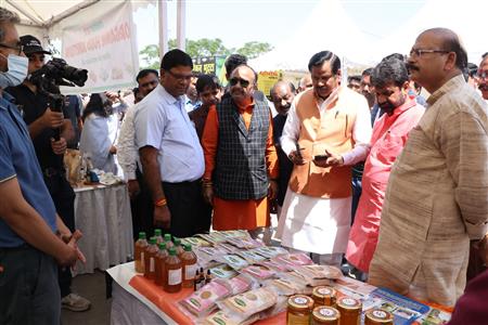 Events & Activities