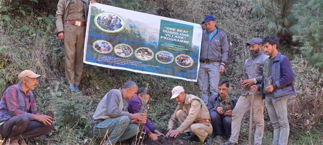 Events & Activities