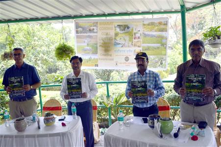 Events & Activities