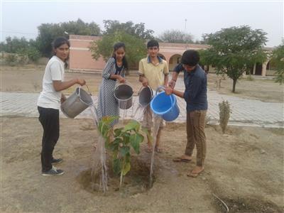 Events & Activities