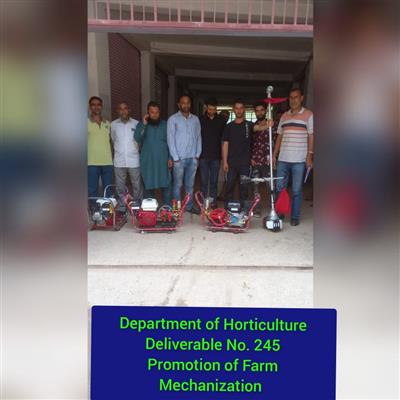 Events & Activities