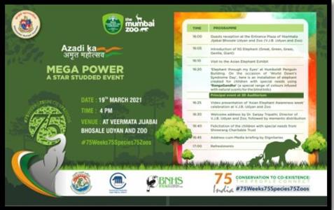 Events & Activities