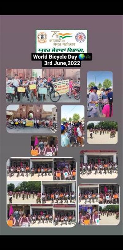 Events & Activities