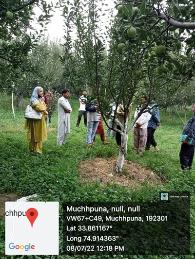 Events & Activities