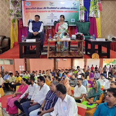 Events & Activities
