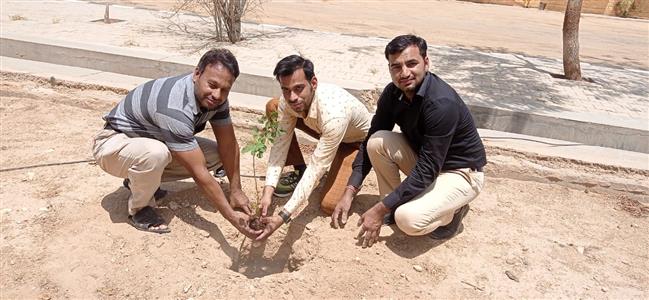 Events & Activities