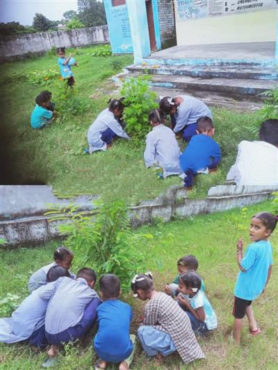 Events & Activities