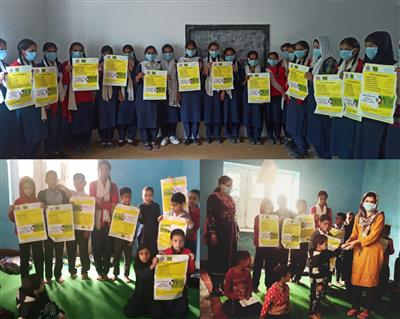 Events & Activities