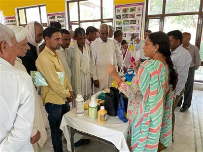 Events & Activities