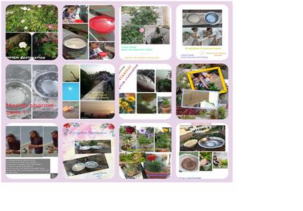 Events & Activities