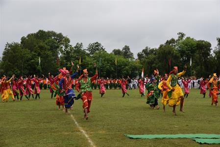 Events & Activities