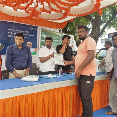 Events & Activities