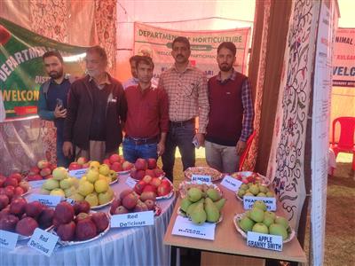 Events & Activities