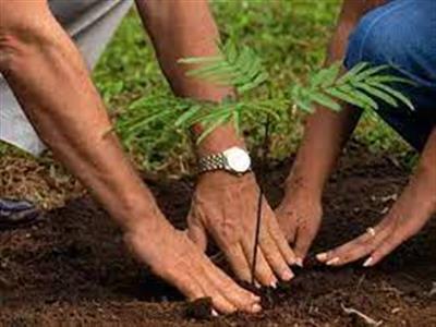 Events & Activities
