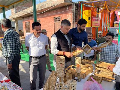 Events & Activities