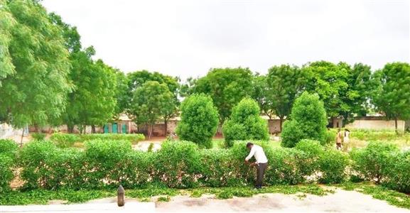 Events & Activities