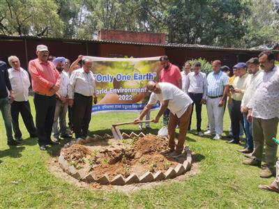 Events & Activities