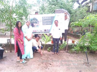 Events & Activities