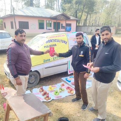 Events & Activities