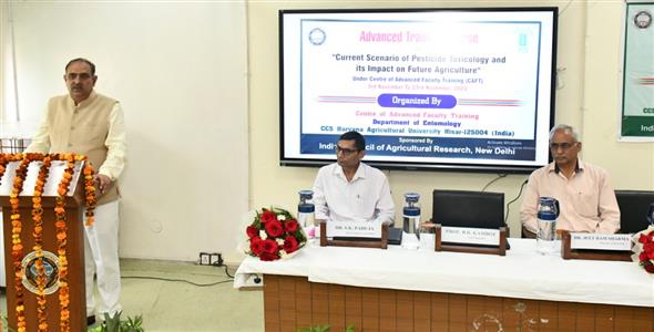 Events & Activities