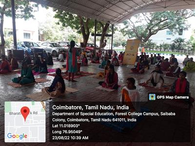 Events & Activities