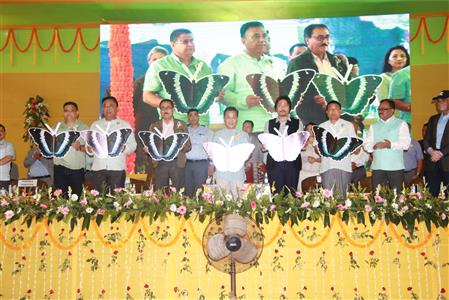 Events & Activities