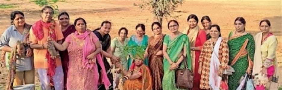 Events & Activities
