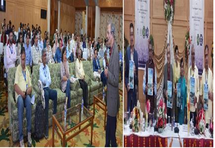 Events & Activities