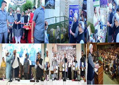 Events & Activities