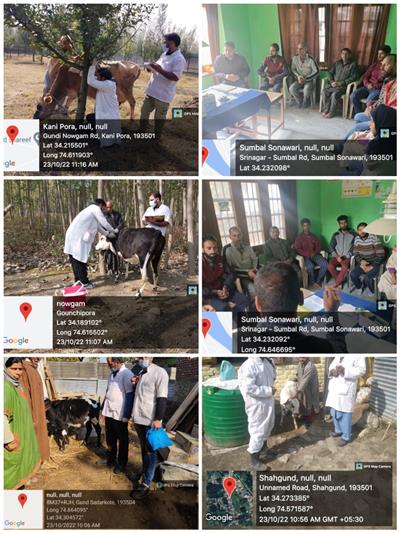 Events & Activities