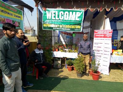 Events & Activities