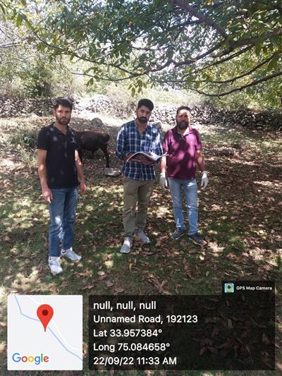 Events & Activities