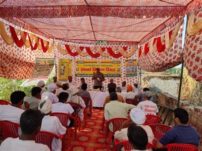 Events & Activities