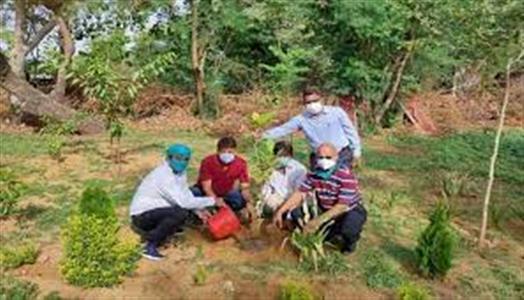 Events & Activities