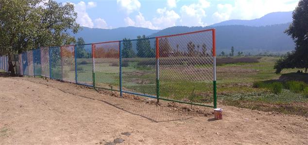 Events & Activities
