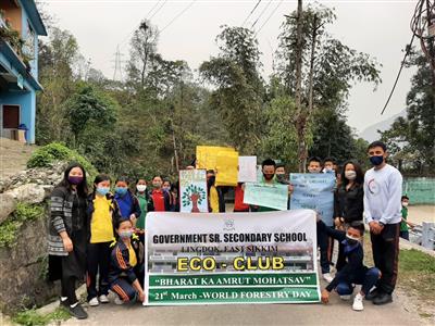 Events & Activities