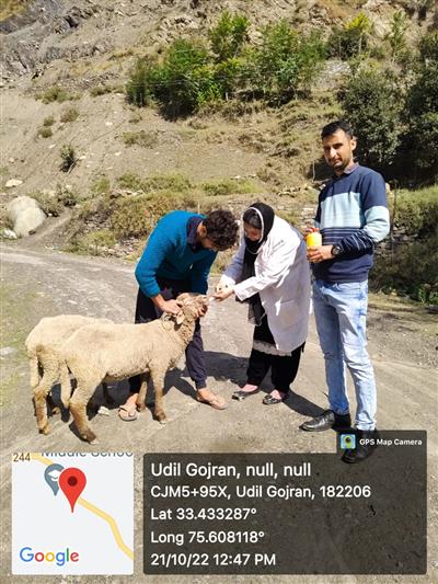 Events & Activities