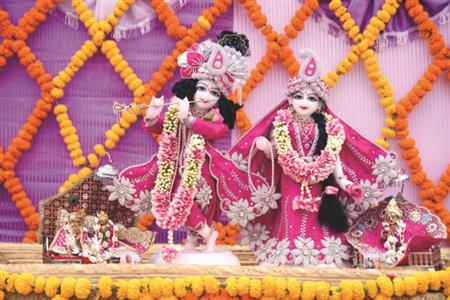 Events & Activities