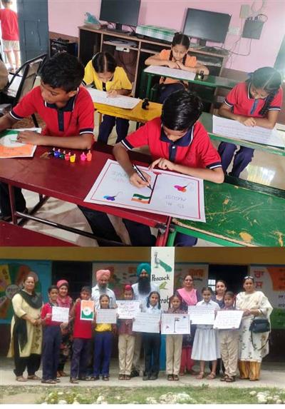 Events & Activities