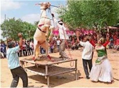 Events & Activities