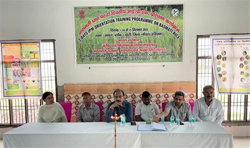 Events & Activities