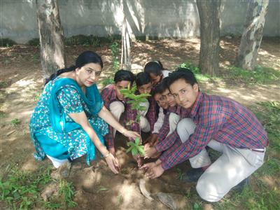 Events & Activities