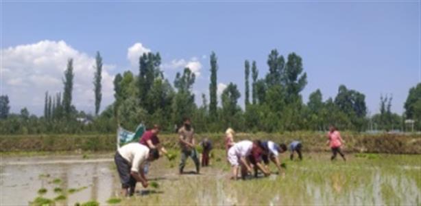 Events & Activities