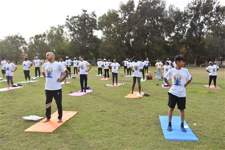 Events & Activities