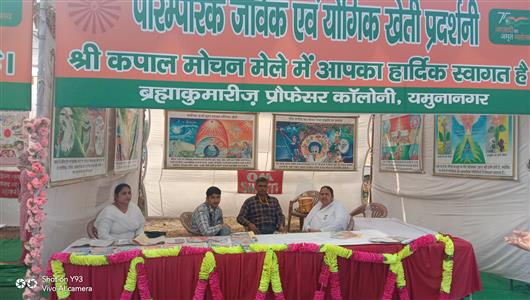 Events & Activities