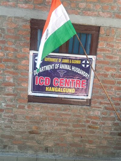 Events & Activities
