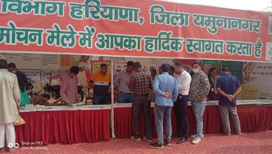 Events & Activities
