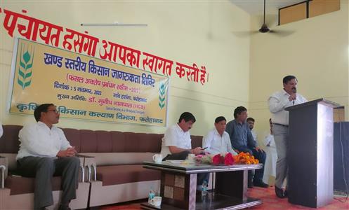 Events & Activities