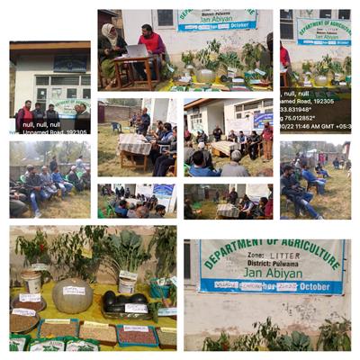Events & Activities