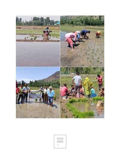 Events & Activities